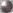 Bouton
